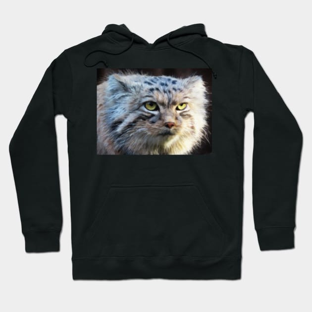 A Pallas's cat (manul) Hoodie by TiiaVissak